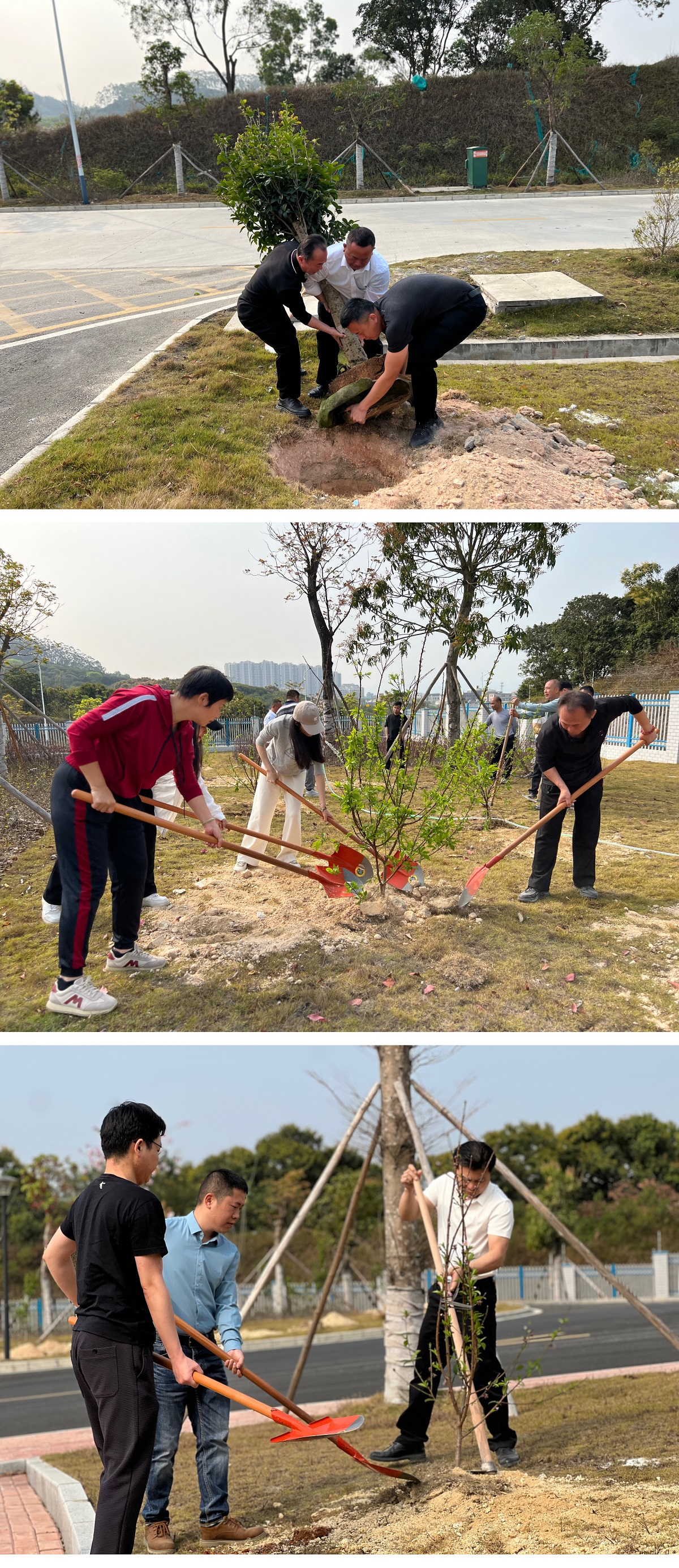 协力植新绿 共促新生长——惠东南宫体育开展2023年植树节植树运动_南宫体育